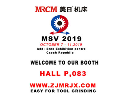 MSV 2019