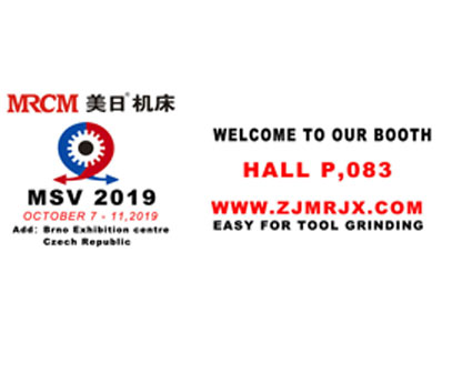 MSV 2019