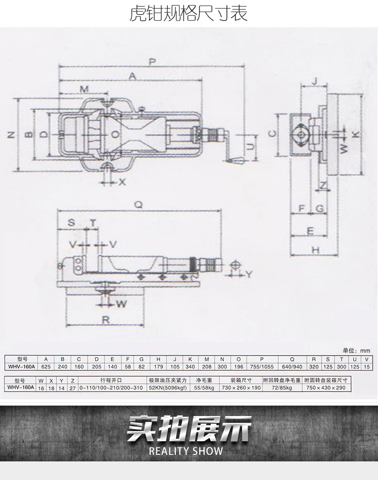 ski vise